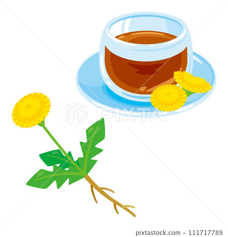 Dandelion and dandelion tea 111717789