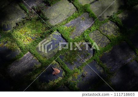 wooden floor sleepers 111718603