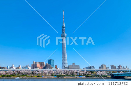 隅田川櫻花盛開 111718782