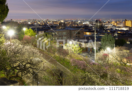 黎明前可以看到岡本梅林和市區的燈光,以及遠處大阪的城市燈光。神戶市東灘區 黎明前可以看到岡本梅林和市區的燈光,以及遠處大阪的城市燈光。神戶市東灘區 111718819
