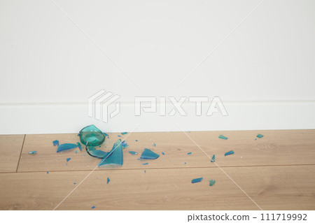 broken glass on the floor , broken glass on the floor , 111719992