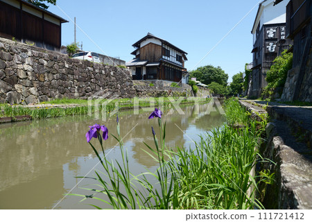 滋賀縣近江八幡市八幡堀 111721412