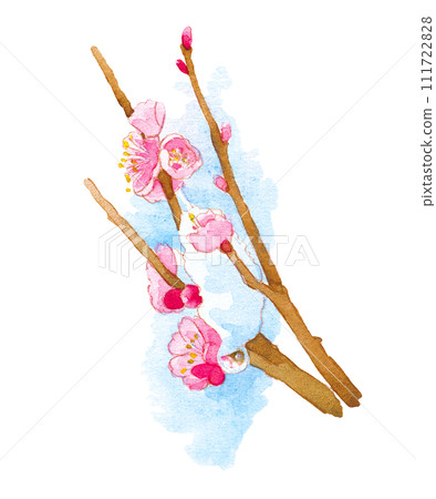 雪與梅枝 111722828