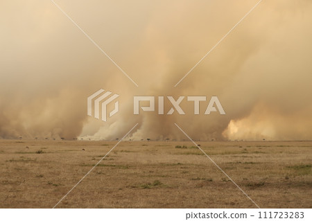 Smoking Masai Mara burning Smoking Masai Mara burning 111723283