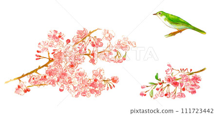 Cherry blossom and nightingale set 111723442