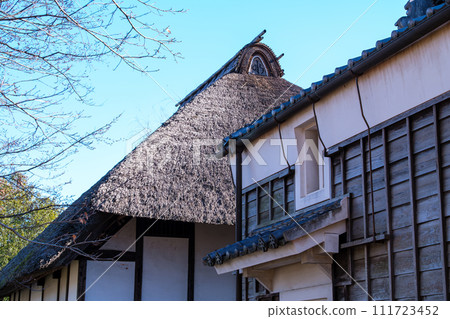 Thatched roof and white wall Thatched roof and white wall 111723452