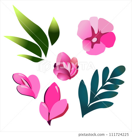Simple vector handdrawn flowers and leaf. Pink green flat plants. For design 111724225