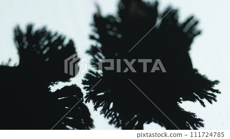Ink drop paint splatter black stain blotch white Ink drop paint splatter black stain blotch white 111724785