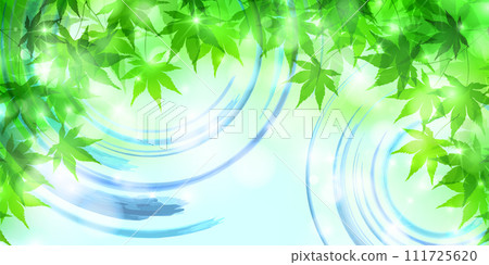 新鮮的綠色楓葉漩渦背景 111725620
