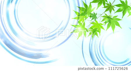 新鮮的綠色楓葉漩渦背景 111725626