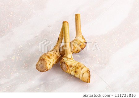 Raw galangal root seasonong aroma 111725816