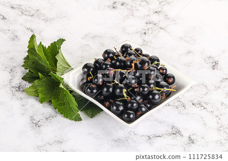 Juicy black currant berries in the bowl Juicy black currant berries in the bowl 111725834