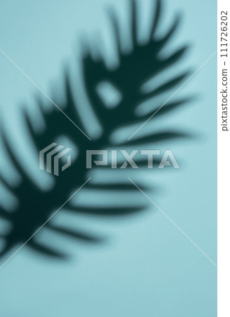 Abstract Shadow of a Tropical Leaf on a Light Blue Background in Soft Focus 111726202