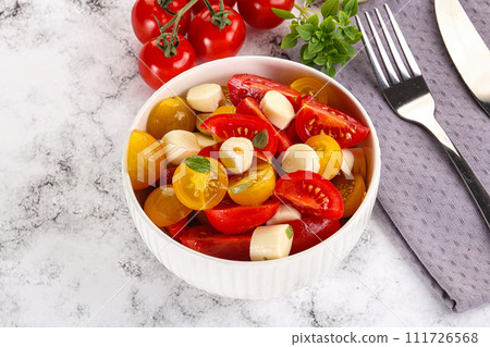 Italian Caprese salad with tomato and mozzarella Italian Caprese salad with tomato and mozzarella 111726568