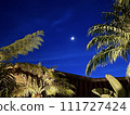 Moonlight on Ishigaki Island 111727424