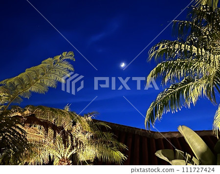 Moonlight on Ishigaki Island Moonlight on Ishigaki Island 111727424