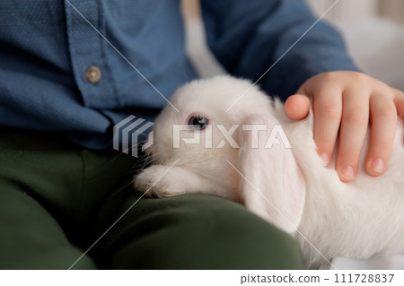 White Easter rabbit sits on the hands of a little boy, who huggs the rabbit White Easter rabbit sits on the hands of a little boy, who huggs the rabbit 111728837