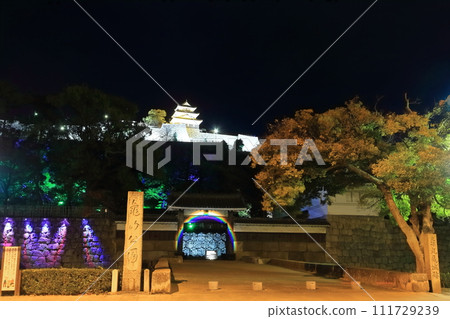 [香川縣] 丸龜城燈火通明的夜景（現存天守閣和石牆的名城） 111729239