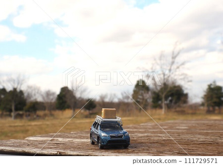 有小車的風景：藍天公園與森林人 111729571