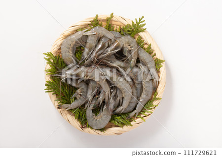 [From Kumamoto Prefecture] Shiba shrimp (for heating) 111729621
