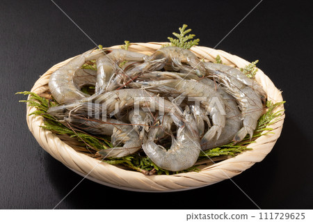 [From Kumamoto Prefecture] Shiba shrimp (for heating) 111729625