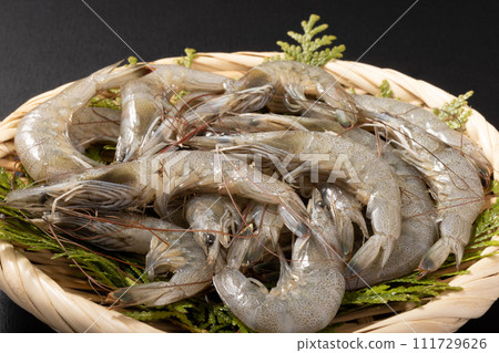 [熊本縣產]柴蝦（加熱用） 111729626