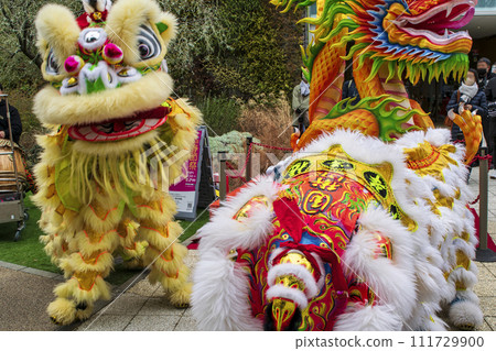 橫濱唐人街新年祭-迎春祈福舞獅-橫濱海洋塔前 橫濱唐人街新年祭-迎春祈福舞獅-橫濱海洋塔前 111729900
