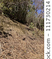 懸崖 111730214