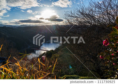 Tsukigase Baikei in early spring when the plums begin to bloom. Camellia blooming reluctantly and white plums blooming on the mountain overlooking Lake Tsukigase. Tsukigase Baikei in early spring when the plums begin to bloom. Camellia blooming reluctantly and white plums blooming on the mountain overlooking Lake Tsukigase. 111730925