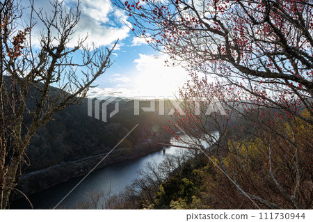 Tsukigase Baikei in early spring when the plums begin to bloom. The surface of Tsukigase Lake shining in the setting sun and the plum grove in the foreground ① Tsukigase Baikei in early spring when the plums begin to bloom. The surface of Tsukigase Lake shining in the setting sun and the plum grove in the foreground ① 111730944