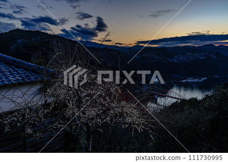 Tsukigase Baikei in early spring when the plums begin to bloom. White plum blossoms blooming on Mt. Oyama and Tsukigase Baikei as it gets dark➂ Tsukigase Baikei in early spring when the plums begin to bloom. White plum blossoms blooming on Mt. Oyama and Tsukigase Baikei as it gets dark➂ 111730995