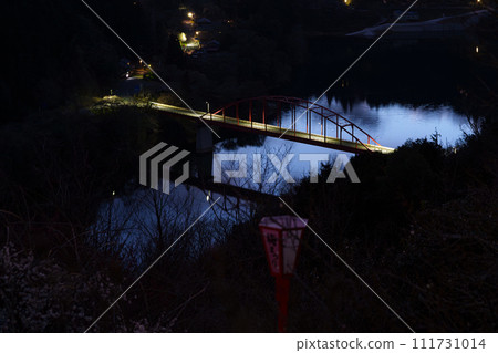 Tsukigase Baikei in early spring when the plum blossoms begin to bloom; Tsukigase Bridge illuminated after sunset 111731014