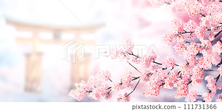 Horizontal banner with sakura flowers of pink color and Torii gate on misty backdrop. Beautiful nature spring background with a branch of blooming sakura. Sakura blossoming season in Japan Horizontal banner with sakura flowers of pink color and Torii gate on misty backdrop. Beautiful nature spring background with a branch of blooming sakura. Sakura blossoming season in Japan 111731366