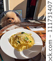 Toy poodle in a cafe 111731407