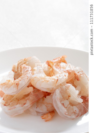 shrimp, shrimp, salad shrimp, shrimp, salad 111731856