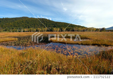 秋葉和池塘 秋葉和池塘 111732122