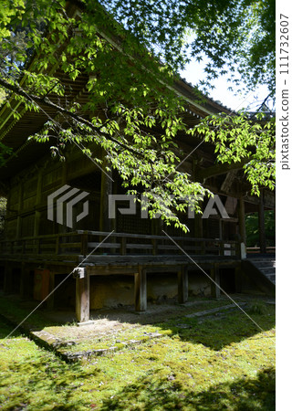 Fresh greenery in the main hall of Kinzoji Temple, Oharano, Nishikyo Ward, Kyoto City 111732607