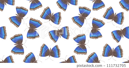 Digital Paper with Colorful Butterflies on White Background. 111732705