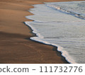 A beach 111732776