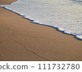 The beach 111732780