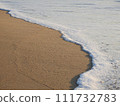 The beach 111732783
