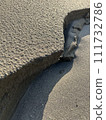 Natural phenomenon 111732786