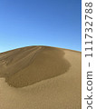 Desert 111732788