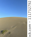 Going in the desert 111732792