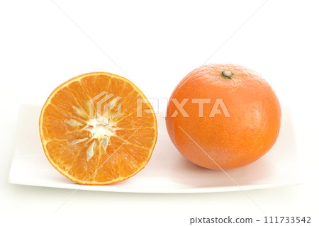 愛媛縣天草新鮮水果柑橘 111733542