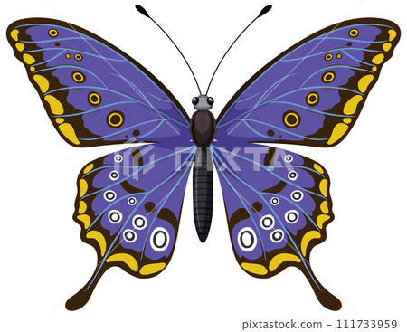 Vibrant Blue Butterfly Illustration Vibrant Blue Butterfly Illustration 111733959