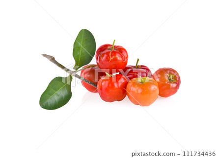 Acerola small cherry fruit with leaf isolated on white background. Acerola small cherry fruit with leaf isolated on white background. 111734436