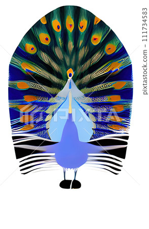 Peacock. Vector illustration. Animal theme. 111734583