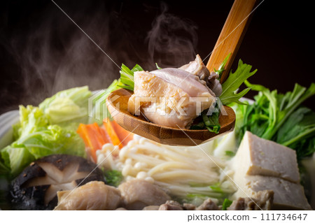 Mizutaki ~ Chicken hotpot 111734647