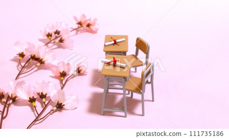 用絲帶包裹的文憑和放在課桌上的垂枝櫻花 111735186
